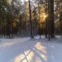 Ноябрьские зарисовки :: Оксана Галлямова