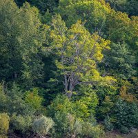 нижний новгород-пермь по рекам.плывем дальше. :: юрий макаров