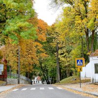 Осень в Польше. :: Liudmila LLF