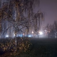 Вечер в парке. :: Владимир Безбородов