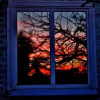 Закат в моём окне. :: Восковых Анна Васильевна 