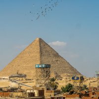 Голуби над пирамидами :: Александр Левинский