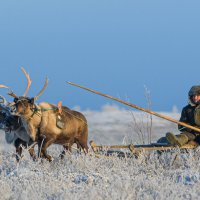 Увезу тебя я в тундру.... :: Олег Кулябин