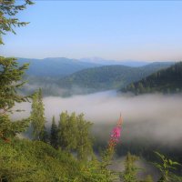 Над речной долиной утренний туман :: Сергей Чиняев 