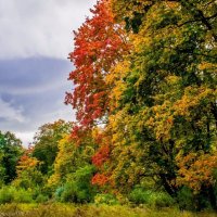 Флюиды осени. :: Владимир Камшилов