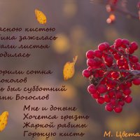 Вспоминая Марину Цветаеву :: liudmila drake