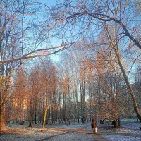 Морозное утро ноября :: Сергей Кочнев