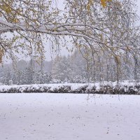 Зима в ноябре :: Nina Karyuk
