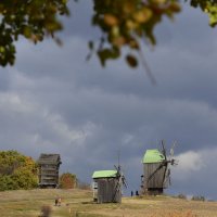 Осень играет красками... :: Тамара Бедай 