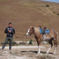 Конь Салават и его печальный хозяин :: Наталия Григорьева