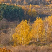 Палитра октября... :: Владимир Жданов