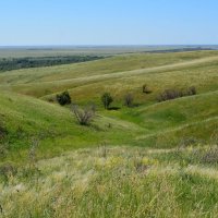 Пухляковский. Лощина среди северных холмов. :: Пётр Чернега