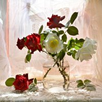 Любимые цветы с палисадника :: Надежда Куркина