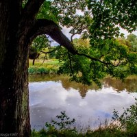 Осень :: Владимир Камшилов