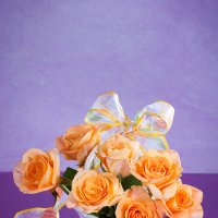 Кремовые розы на лиловом фоне :: Ольга Бекетова