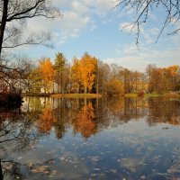 в осеннем парке... #40 :: Андрей Вестмит