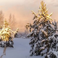 Вот и зима!!! :: Оксана Галлямова