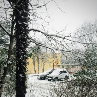 Снег :: Ирина Климченкова