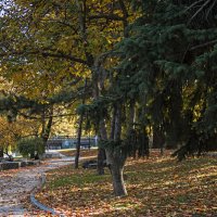 Осень на  набережной  Салгира :: Валентин Семчишин