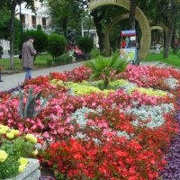 В парке "Цветник" :: Виктор Мухин