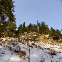 Лесные зарисовки :: Вадим Басов