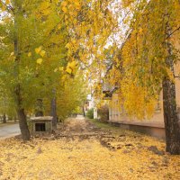 Золотая осень на тихой улице :: Лира Цафф