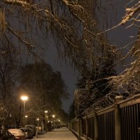 Первый снег :: Tatiana Kretova