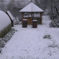 Вот и зима пришла :: Людмила Смородинская