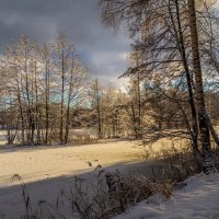 Начало Подмосковной зимы # 03 :: Андрей Дворников