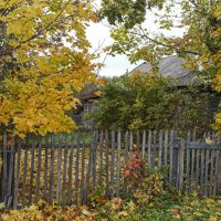 Осень старого дома. :: Alexandr Gunin