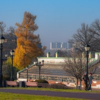 Ноябрь в Царицыно... :: Владимир Жданов