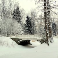 В Александровском парке зимой - 3 = Мосты и мостики :: Сергей 
