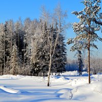 Хороший зимний день :: Татьяна Лютаева