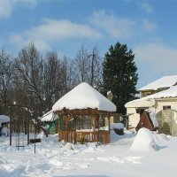Мой сад зимой :: Людмила Смородинская