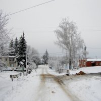 первый день  снега... :: Галина Флора