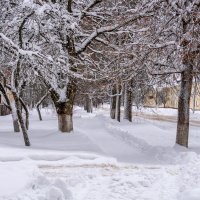 Зима, Исчезли серые тона :: Игорь Сикорский