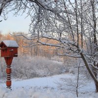 Зима в парке. :: Инна Щелокова