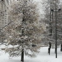 Снежный День в Санкт-Петербурге :: Митя Дмитрий Митя