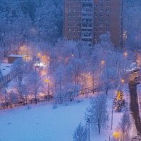 Волшебство зимнего утра :: Ольга Решетникова
