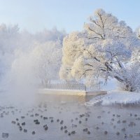 Морозный денек :: Галина Новинская