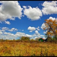 Хорошо в деревне :: Алексей Патлах