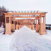 Арка - зима :: Динара Каймиденова