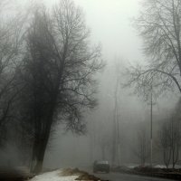Утро туманное.. :: Елена Минина