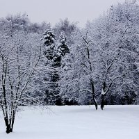 Пейзаж после тихого снегопада :: Александр Чеботарь