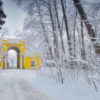 Декабрь в Царицыно :: Наталья Лакомова