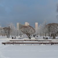 Снежно в парке :: Валерий Иванович