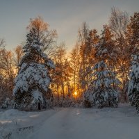 Декабрь, солнце и мороз 05 :: Андрей Дворников
