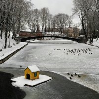 Зимний сад. :: Милешкин Владимир Алексеевич 