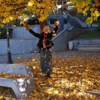 Золотая осень :: Наталья (D.Nat@lia)