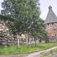 Монастырская стена :: Юрий Шевляков